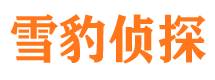 平山市侦探公司